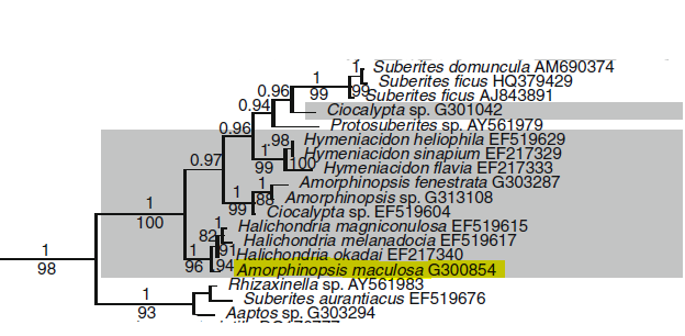 figure image